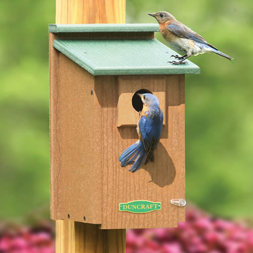 Duncraft Eco-Friendly Bluebird House
