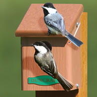 Eco-Chickadee Bird House