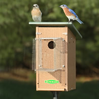 Duncraft Bird-Safe® Bluebird House & Pole with Noel Guard