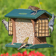 Duncraft Grandview Hopper with Suet Cages