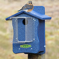 Duncraft Bird-Safe® EZ Observation Noel Guarded Bluebird House