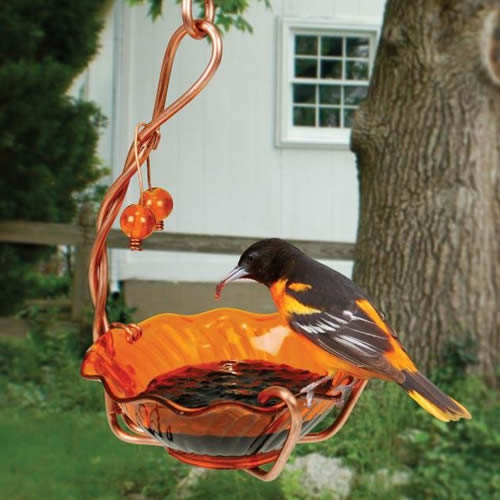 Oriole Single Cup Jelly Feeder
