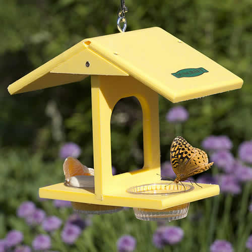 Eco-Butterfly Feeder