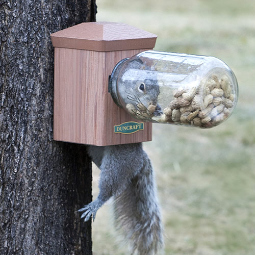 Bottoms Up Squirrel Jar Feeder