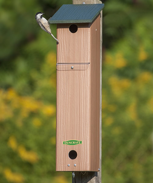 Duncraft Songbird House and Roosting Box