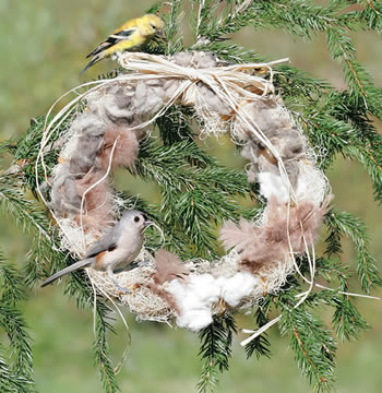 Feather Your Nest Wreath