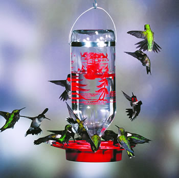 best 1 hummingbird feeder 32
