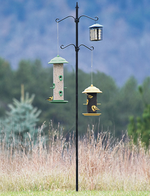 pole bird feeder station bird feeder station four hooks hang seed 