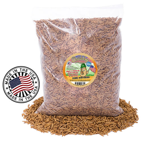11 lbs. Chubby Dried Black Soldier Fly Larvae - Made in the USA