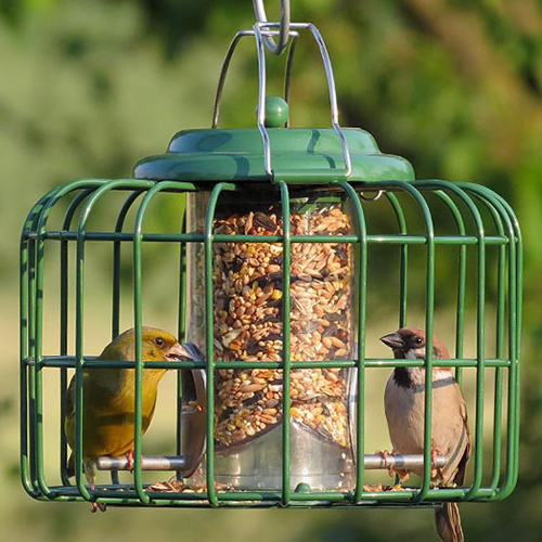 The Nuttery Mini Seed Feeder