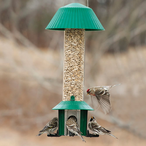 Squirrel Defeater Seed Feeder