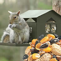 Metal Squirrel Feeder & Bird Seed Package