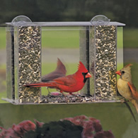 Duncraft Super Songbird Mirrored Feeder