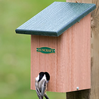Duncraft Eco-Songbird Roosting Box