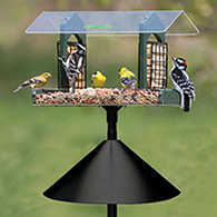 Duncraft Double Delight Squirrel-Proof Feeding Station