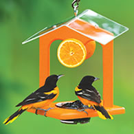 Duncraft Ultimate Oriole Jelly Feeder