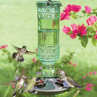 Antique Hummingbird Feeder