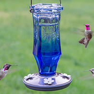 Vintage Sapphire Starburst Hummingbird Feeder