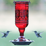 Red Jewel Hummingbird Feeder