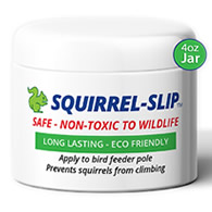 Squirrel-Slip Jar, 4 oz.
