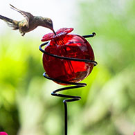 Droplet Spiral on a Stake Hummingbird Feeder, Red
