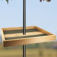 Pole Seed Tray with Mounting Bracket
