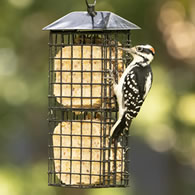 Black Metal Four Cake Suet Cage Bird Feeder with Roof