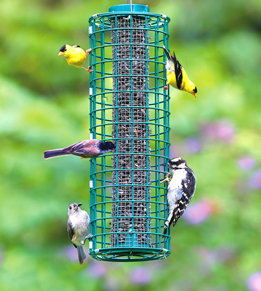 Shop All Squirrel-Proof Feeders
