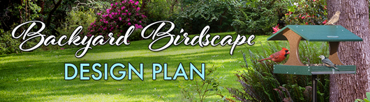 Birdscape Your Backyard