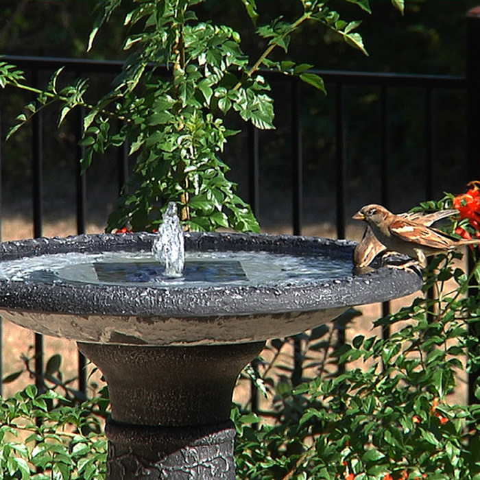 Solar Bird Bath Fountain For Sale