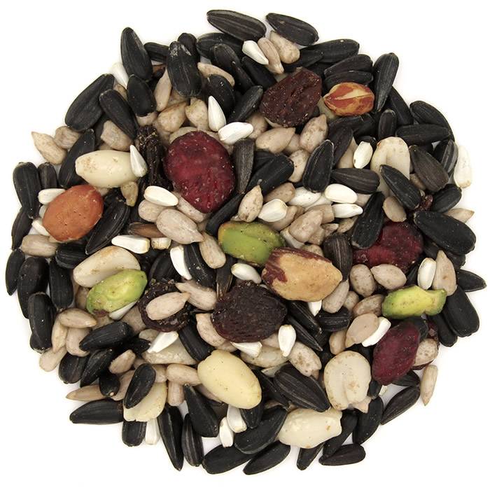 Brown's Bird Lover's Blend Nuts Berries & Bugs Blend Dry Food, 5 lbs.
