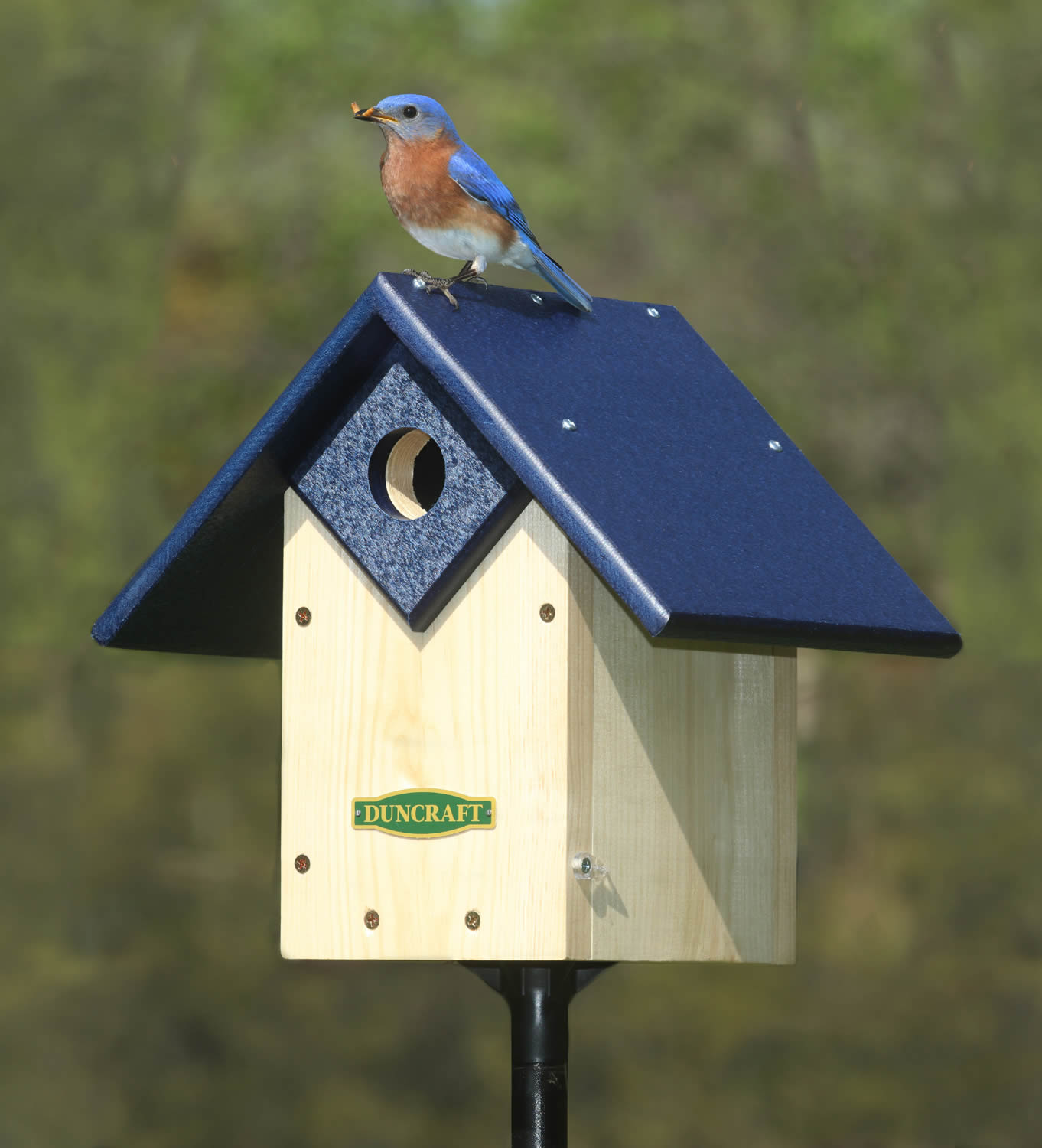 Enchanted Cottage Collection Bluebird House