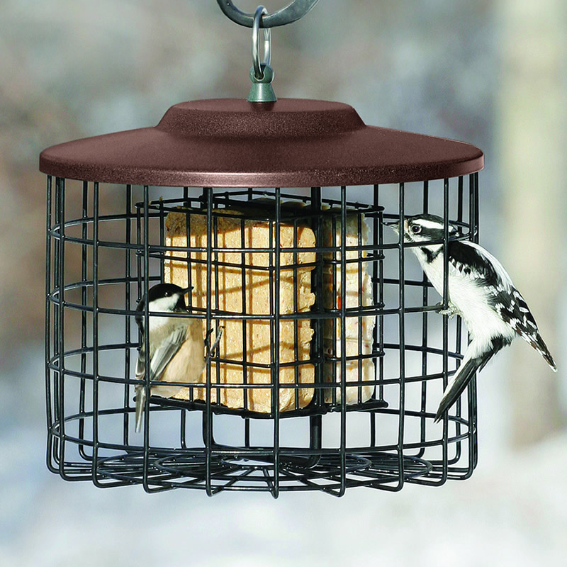 SEWANTA Suet Bird Feeders for Outside Double Suet Capacity Suet Cage Bird Feed 