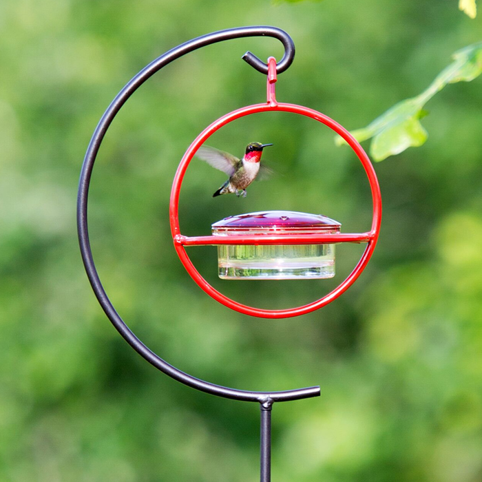 Duncraft Com Hummble Garden Stake Hummingbird Feeder