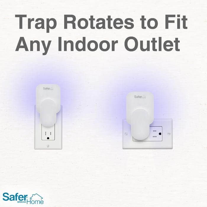 Safer Home Indoor Plug-In Fly Trap (2-Pack)