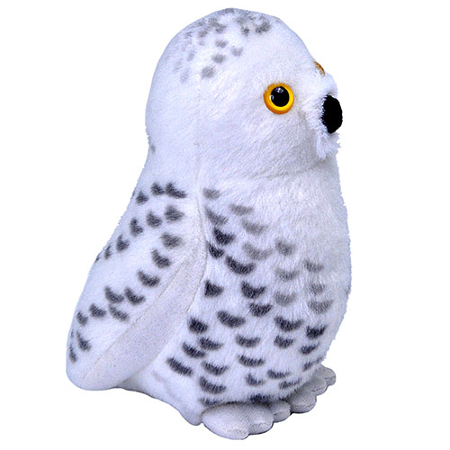 Audubon Snowy Owl