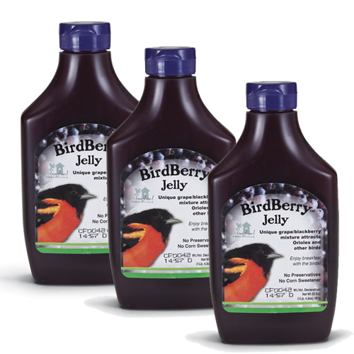 BirdBerry Jelly, Set of 3