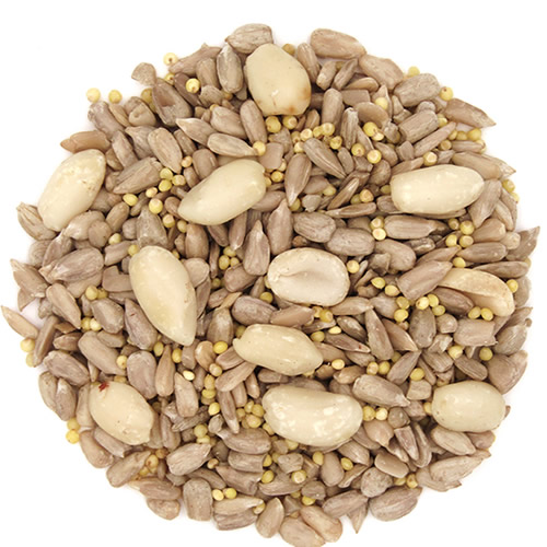 Duncraft Shell Free Blend Wild Bird Seed, 5 or 20-lb bag