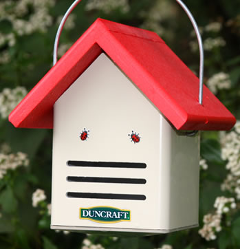 Duncraft Eco-Ladybug House