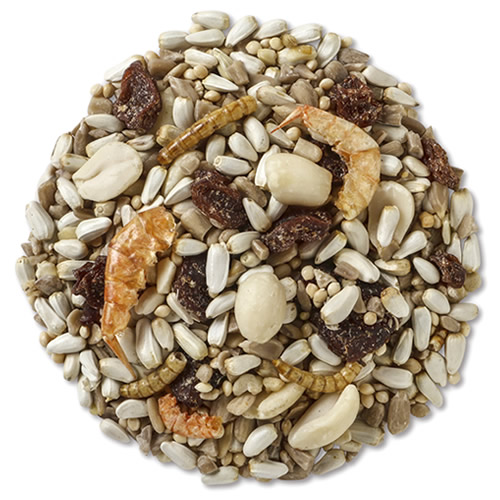 Brown's Nuts, Berries & Bugs Wild Bird Seed, 5-lb bag