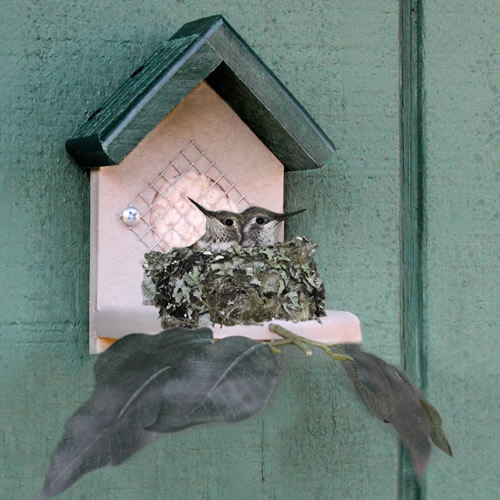 Duncraft Hummingbird Nester