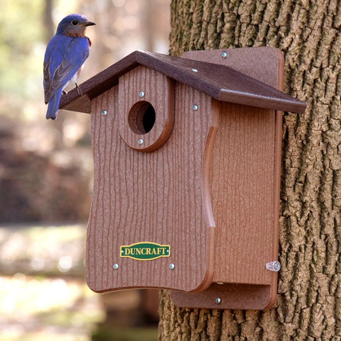Duncraft Bird-Safe® EZ Observation Bluebird House with Predator Guard