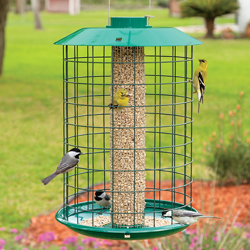 Duncraft: Bird Feeders, Bird Houses, Bird Seed