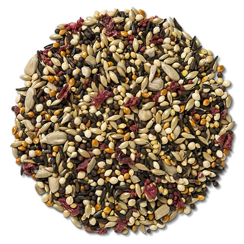 Brown's Fancy Finch with Cranberries Wild Bird Seed, 5-lb bag
