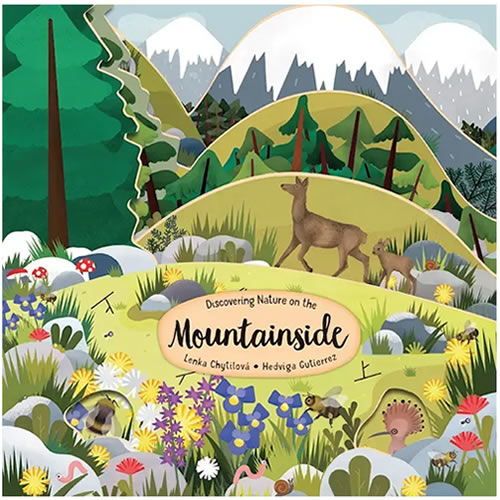 Discovering the Nature on the Mountainside Board Book