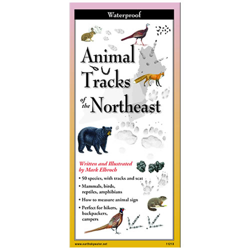 Animal Tracks of the Northeast Folding Guide