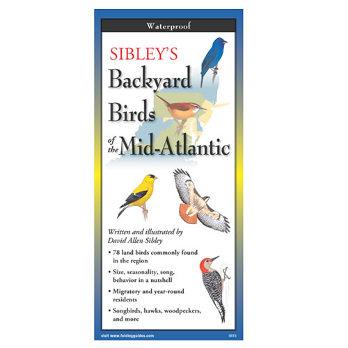 Sibley’s Backyard Birds of the Mid-Atlantic