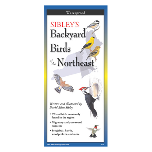 Sibley's Backyard Birds of the Northeast Folding Guide
