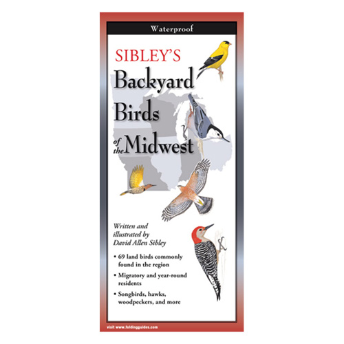 Sibley's Backyard Birds of the Midwest Folding Guide