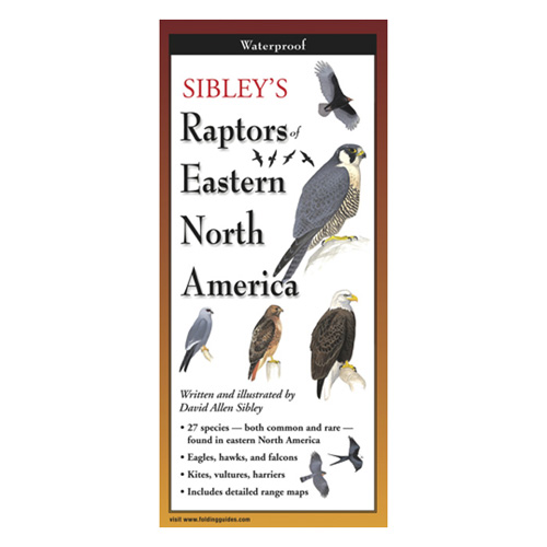 Sibley's Raptors of Eastern N. America Folding Guide